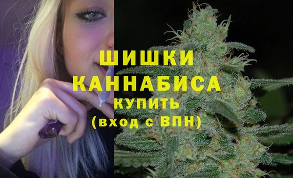 твердый Алзамай
