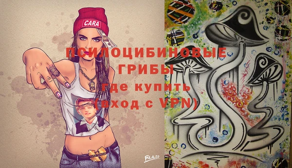 apvp Алексеевка