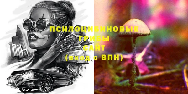 твердый Алзамай